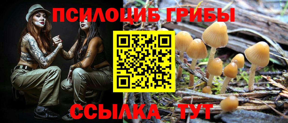 Псилоцибиновые грибы GOLDEN TEACHER  Вход с VPN  Белгород 